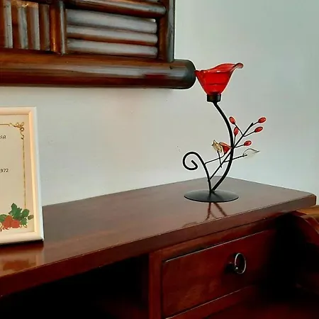 Bed & Breakfast B&B Rosa Appartamento Malpensa Samarate